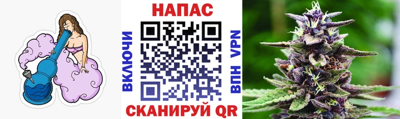 Шишки марихуана THC 21%  цены   Руза 